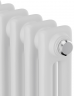 Стальной трубчатый радиатор 2-колончатый Royal Thermo Insignia VC2180 - 04 секц. RAL9016, нижнее 1/2