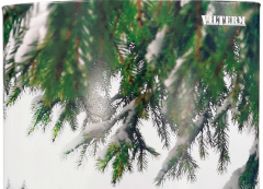 Газовый проточный водонагреватель VilTerm S10 Print (Зимний дом)